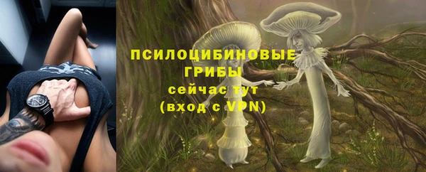 MDMA Premium VHQ Белокуриха